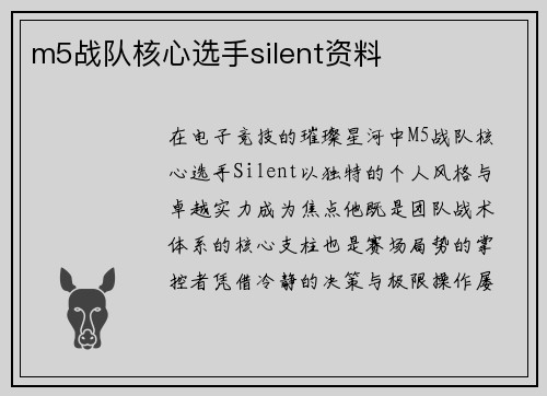 m5战队核心选手silent资料